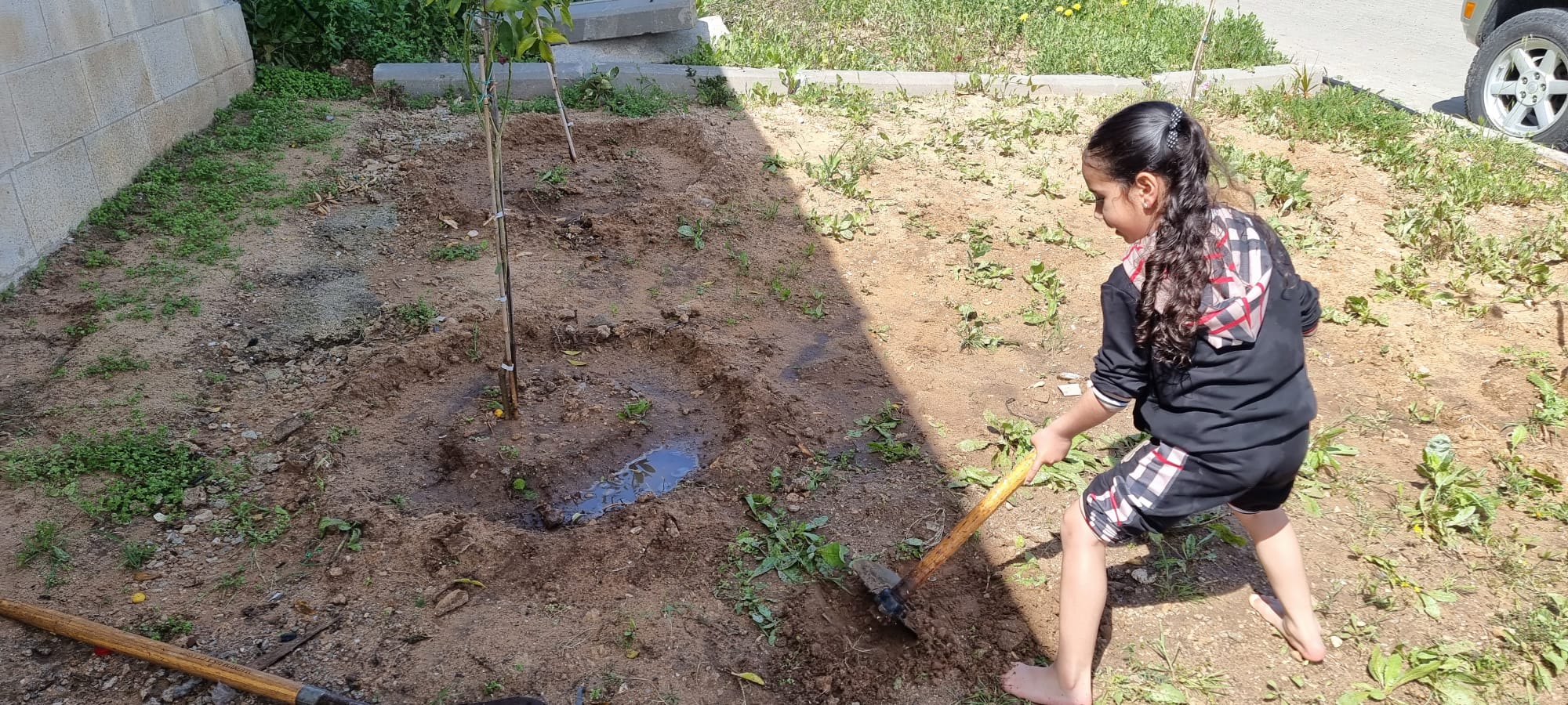 WhatsApp Image 2023-03-18 at 11.16.19 AM (3).jpeg